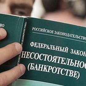 Guaranteeing supplier is set to the subject of natural monopoly